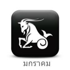 ราศีมังกร (Capricorn)